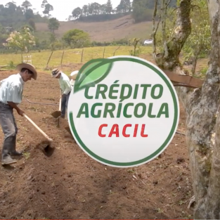 Cooperativa Cacil - Crédito Agrícola